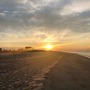 Meet your Posher, Ari